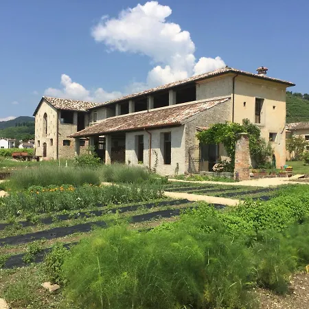Fiori&vigne Di Cecilia Marcon Farra di Soligo