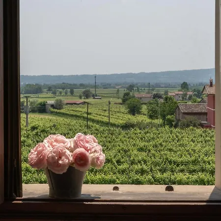 Farm stay Fiori&vigne Di Cecilia Marcon Farra di Soligo