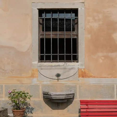 Fiori&vigne Di Cecilia Marcon