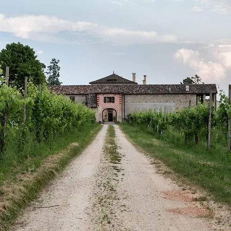 Fiori&vigne Di Cecilia Marcon * Farra di Soligo