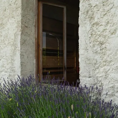 Fiori&vigne Di Cecilia Marcon *