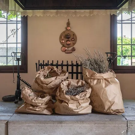 Gospodarstwo agroturystyczne Fiori&vigne Di Cecilia Marcon Farra di Soligo