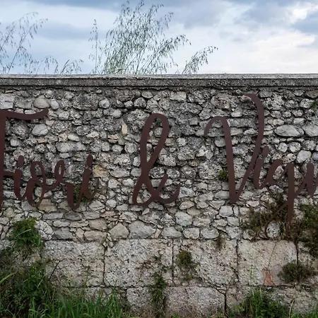 Fiori&vigne Di Cecilia Marcon * Farra di Soligo