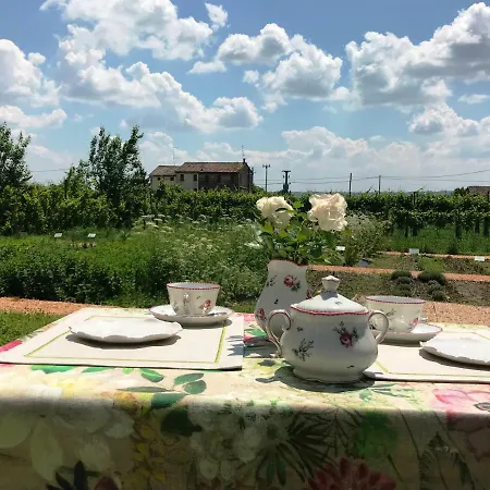 Fiori&vigne Di Cecilia Marcon Gospodarstwo agroturystyczne Farra di Soligo